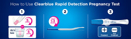 Clearblue Rapid Detection Pregnancy Test Kit